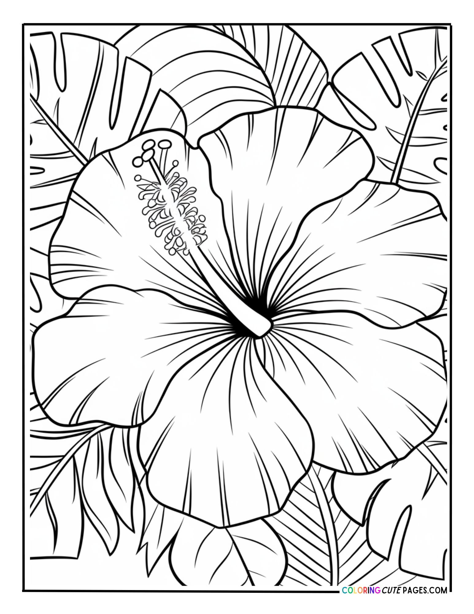 Adult Flowers Coloring Pages (Free PDF Printables)