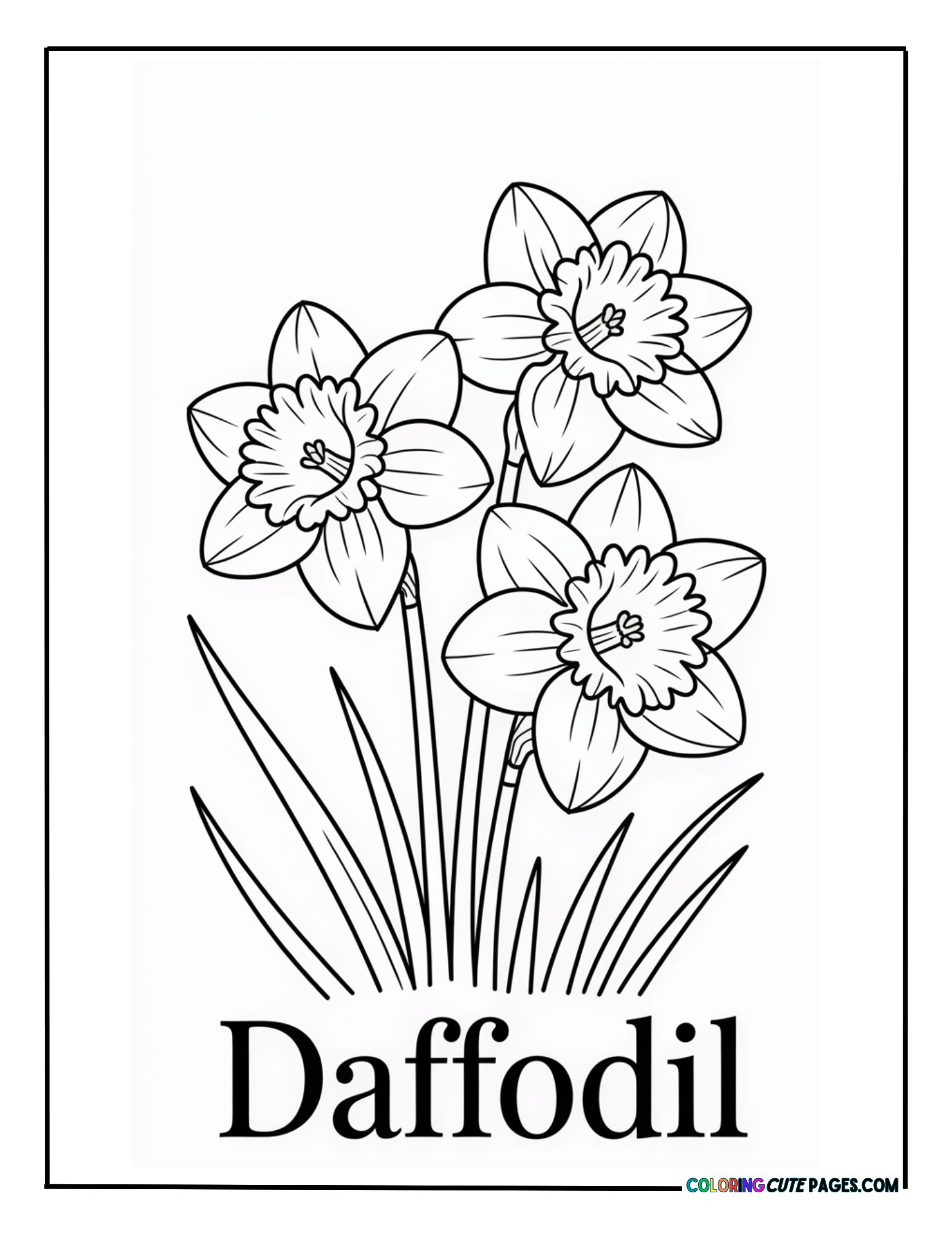 Daffodil Flower Coloring Pages