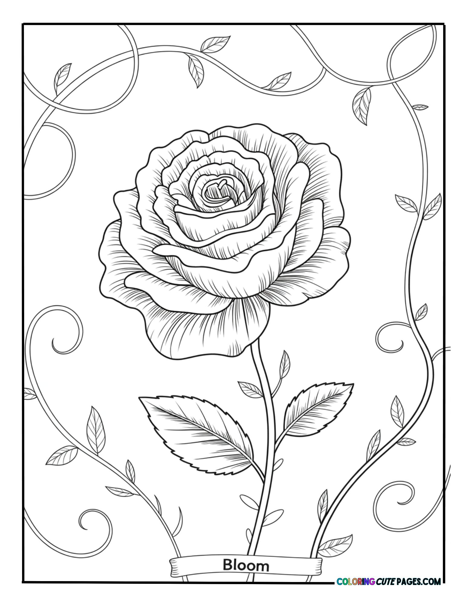Rose Flower Coloring Pages