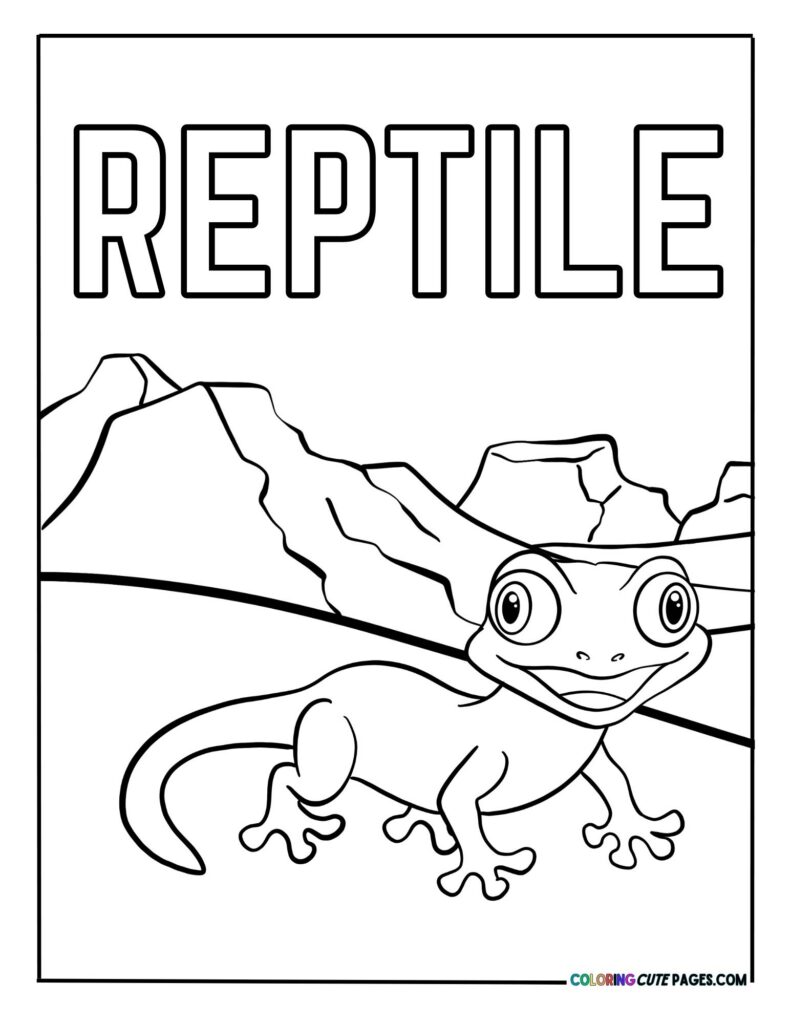 Smiling gecko in the desert