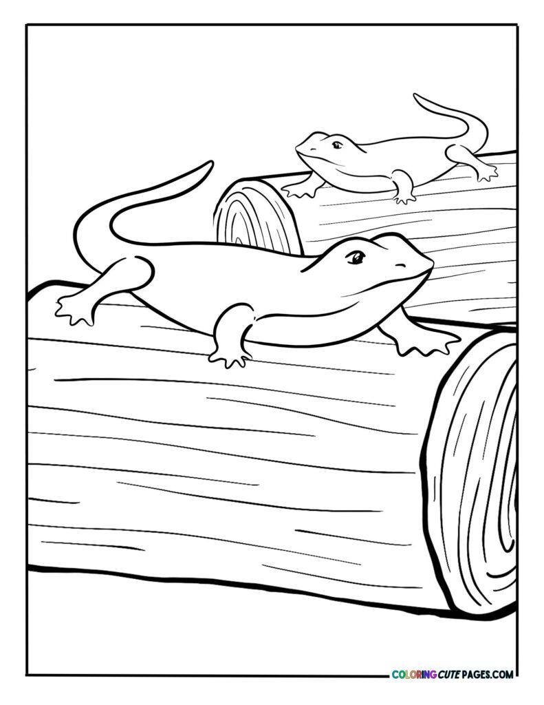 Lizards crawling on logs