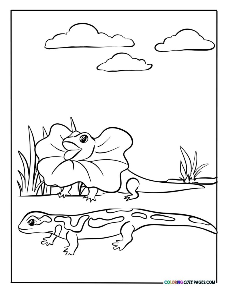 Reptiles standing on rocks and grass