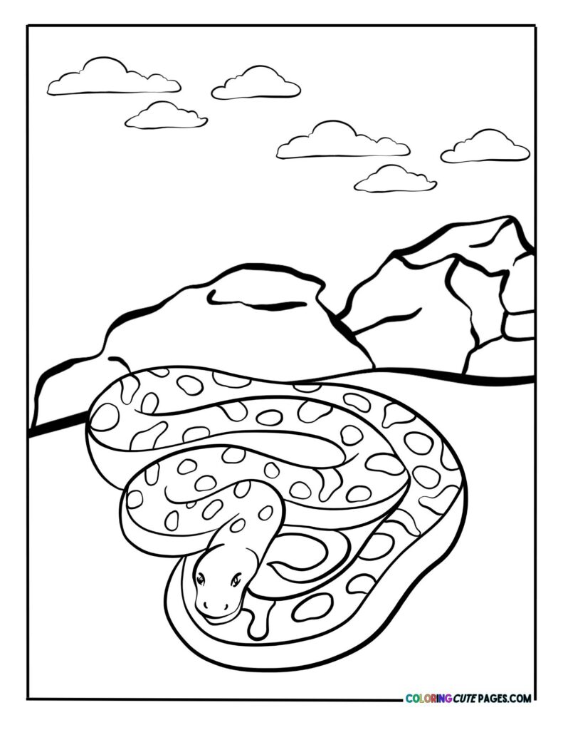 Snake curled on the ground