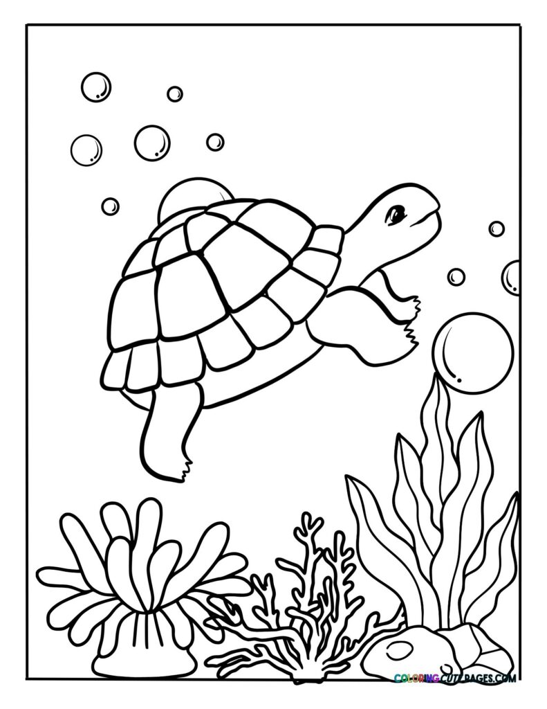 Turtle swimming underwater