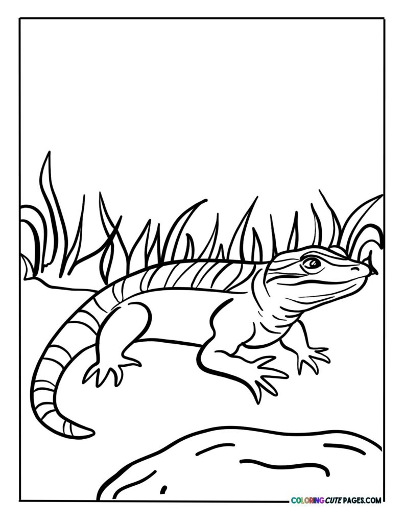 Small lizard near tall grass