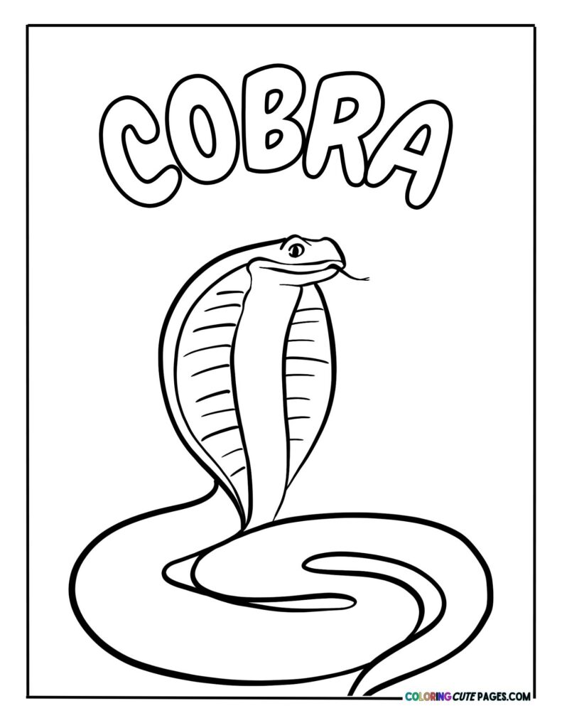 Cobra snake standing tall