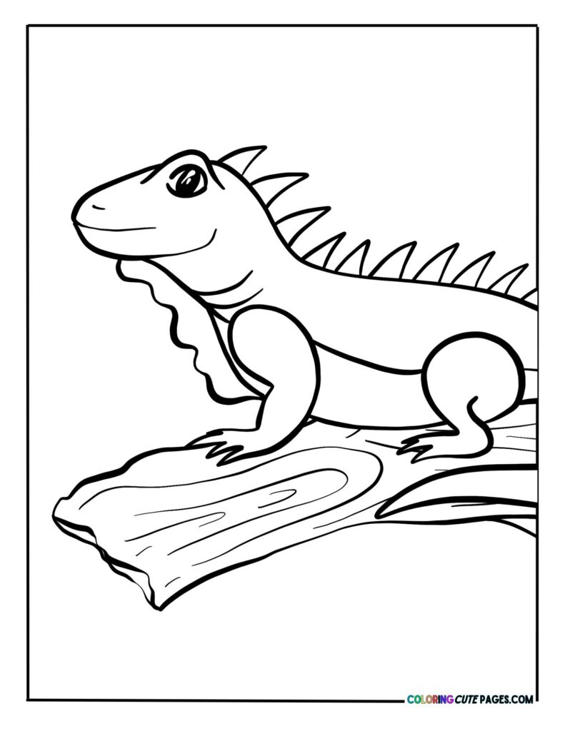 Iguana sitting on a branch