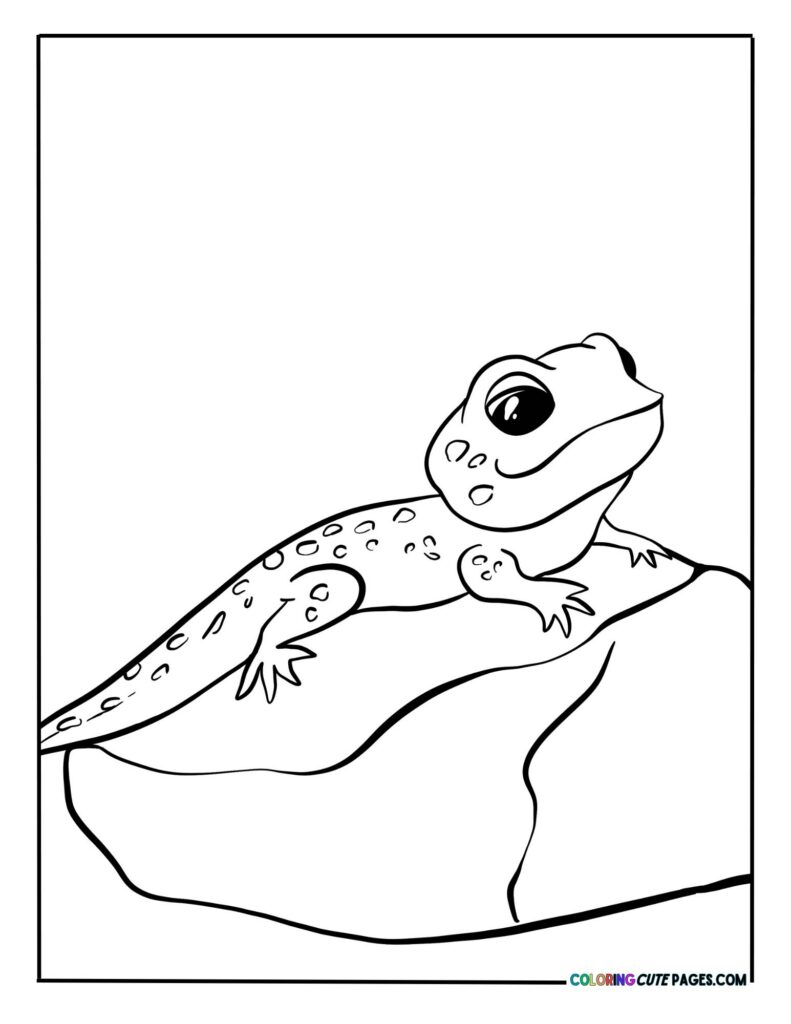 Small gecko resting on a rock