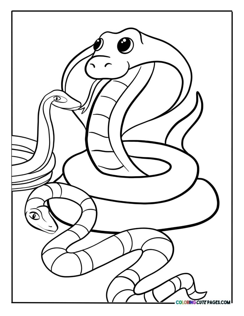 Large cobra with curled tail