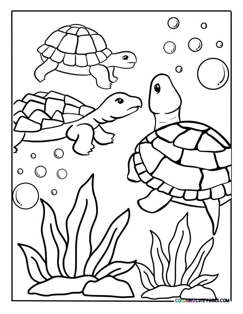 Sea turtles swimming underwater