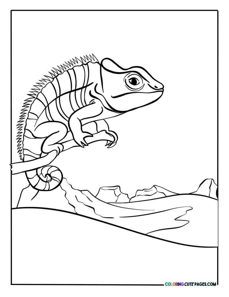 Chameleon sitting on a branch
