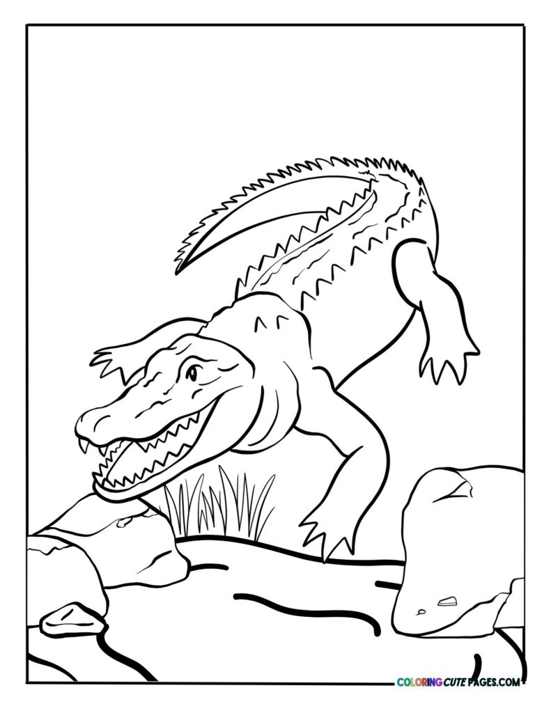 Crocodile walking near water