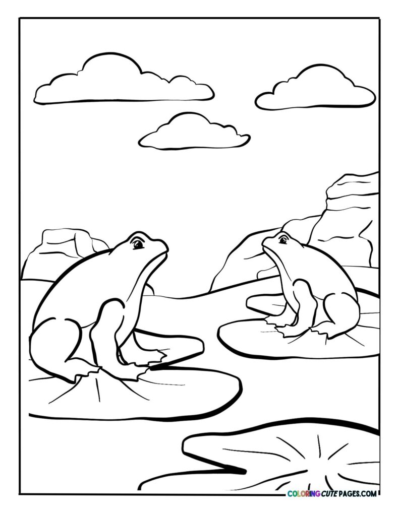 Two frogs beside a pond