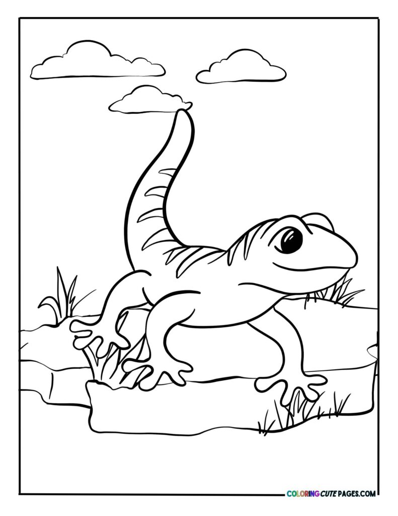 Gecko standing on rocks
