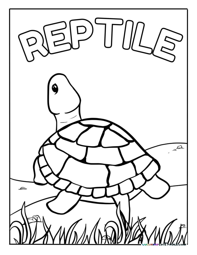 Turtle walking through grass