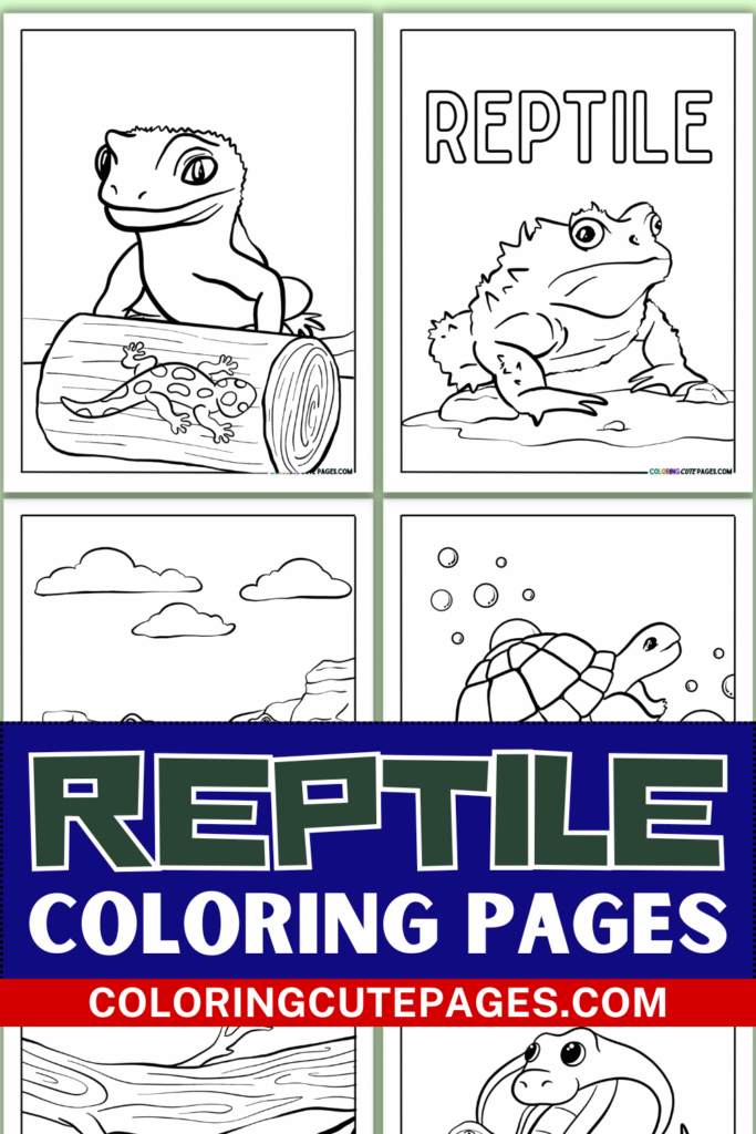 Reptile coloring pages collage with lizard turtle and frog drawings