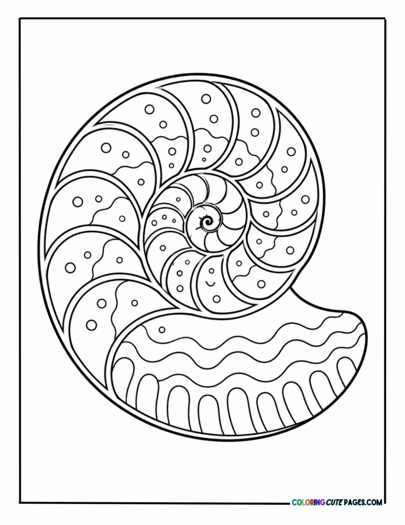Detailed spiral shell with patterned sections