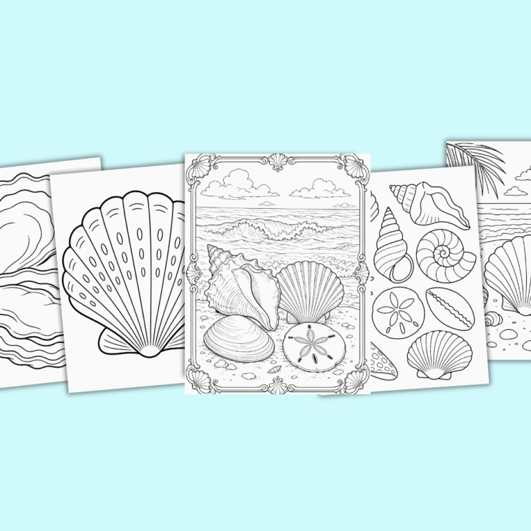 seashells coloring pages